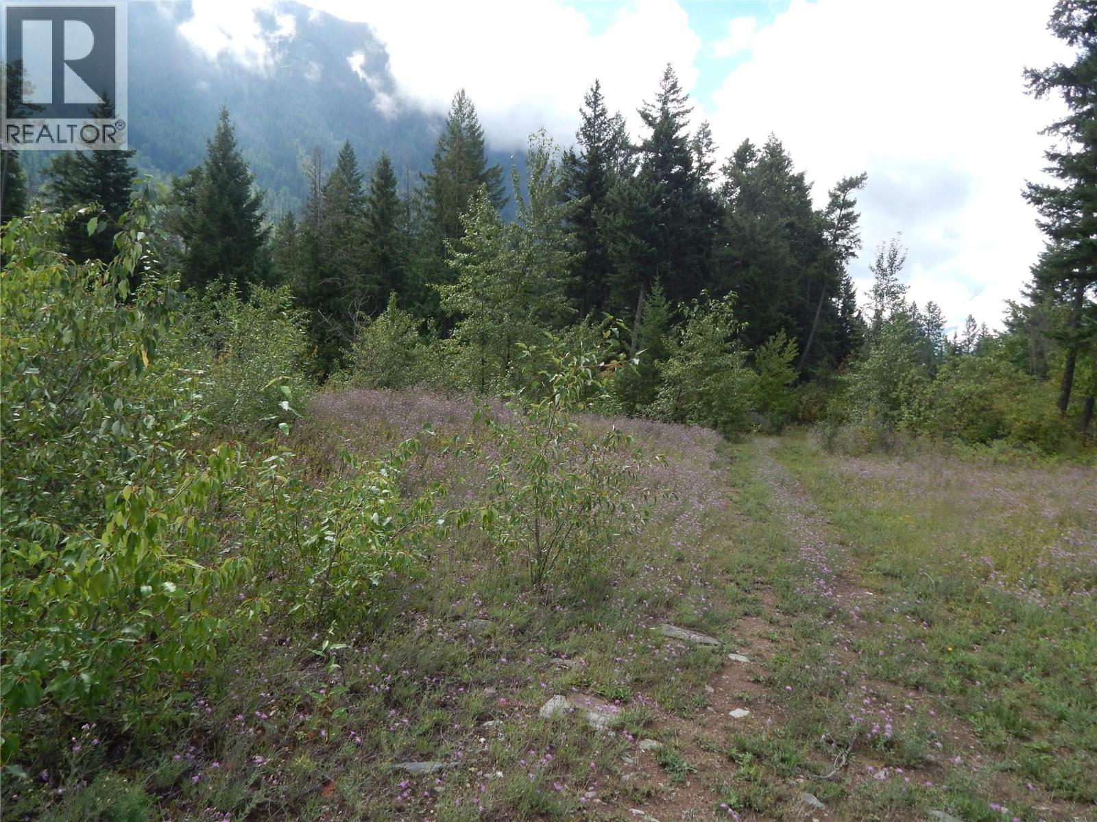 Pit Road Lot# 14, Lister, BC