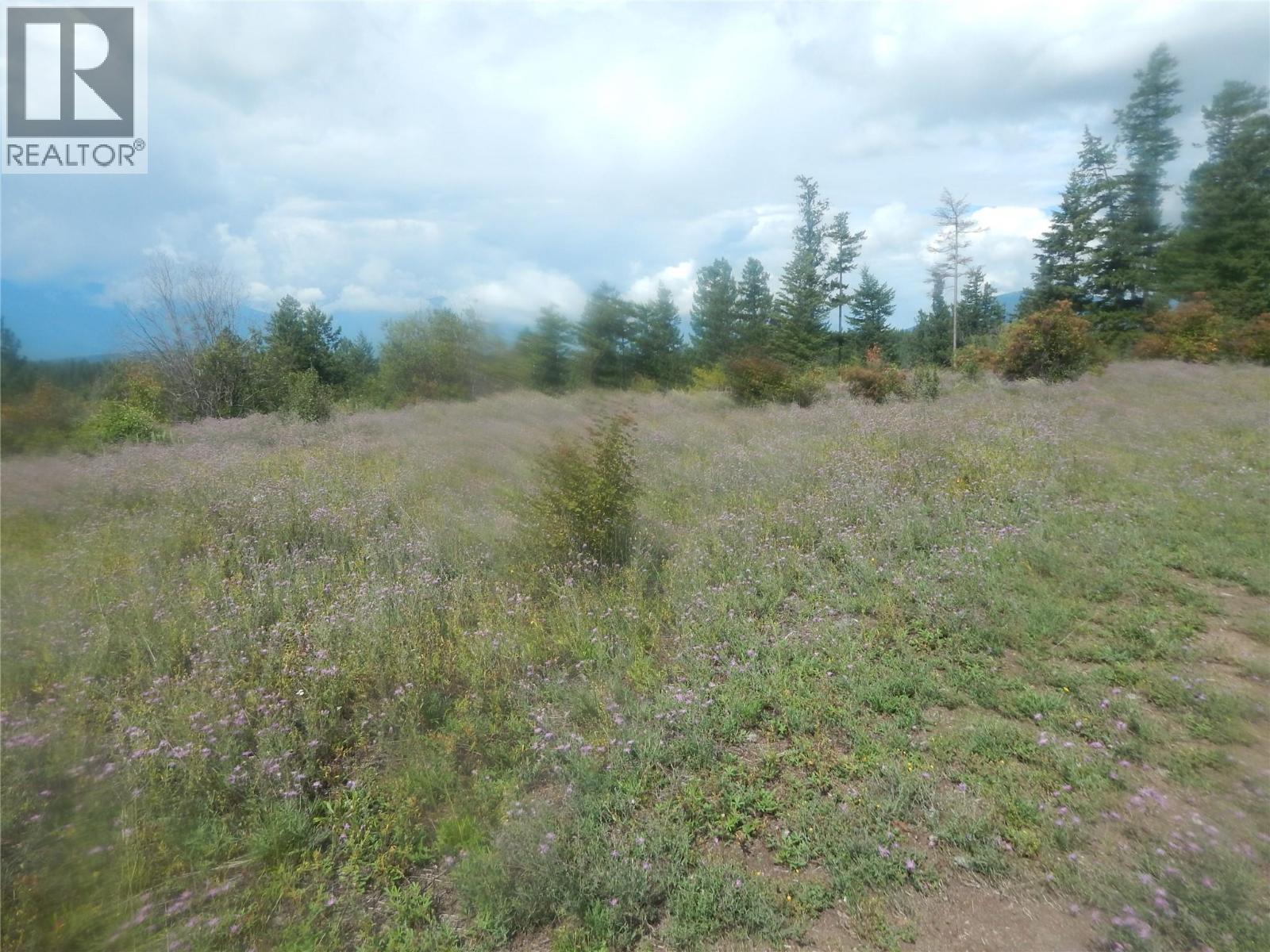 Pit Road Lot# 14, Lister, BC