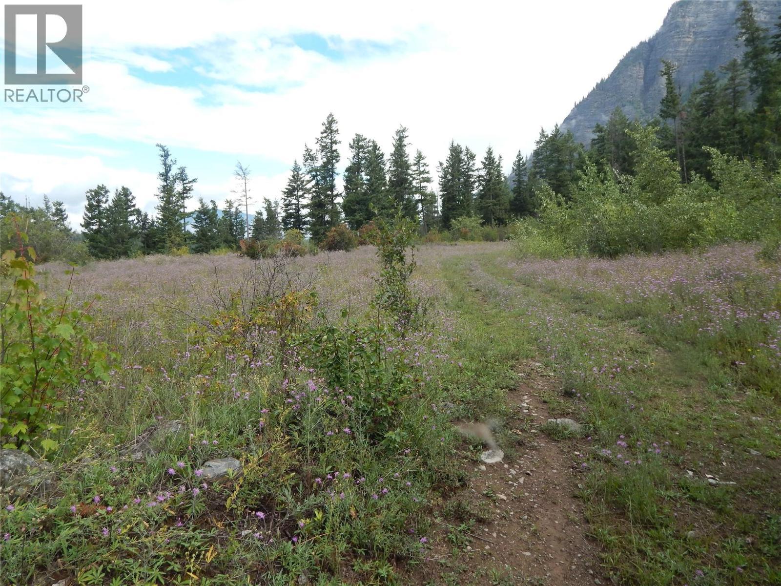 Pit Road Lot# 14, Lister, BC