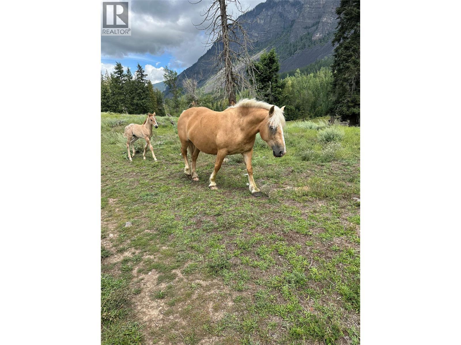 Pit Road Lot# 14, Lister, BC