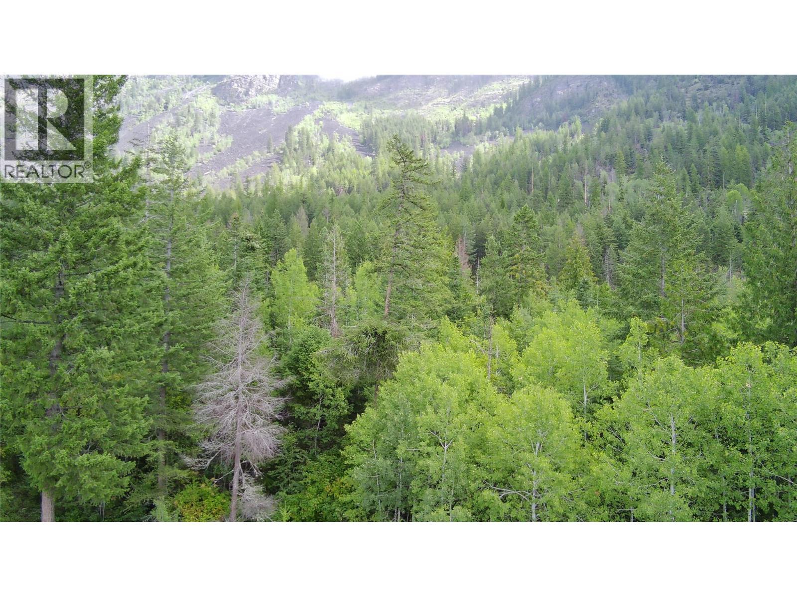 Pit Road Lot# 14, Lister, BC