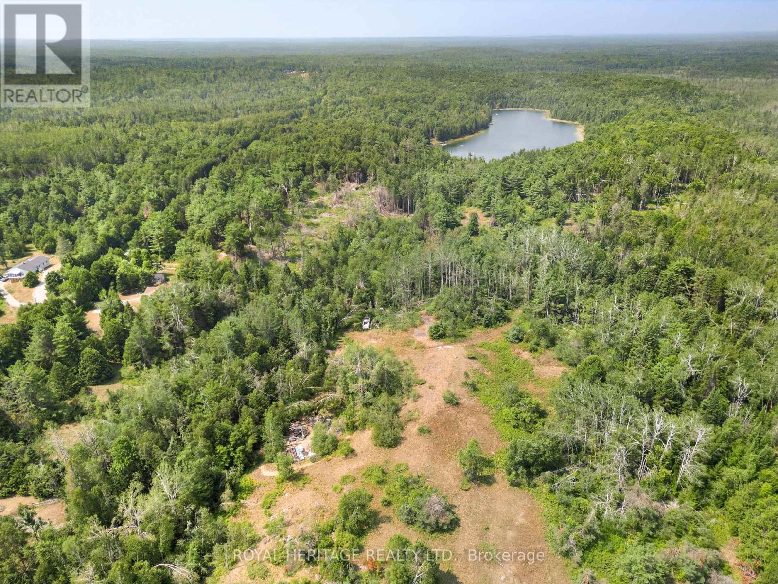 201 Dutch Line Road, Trent Lakes, ON - Outdoor With View