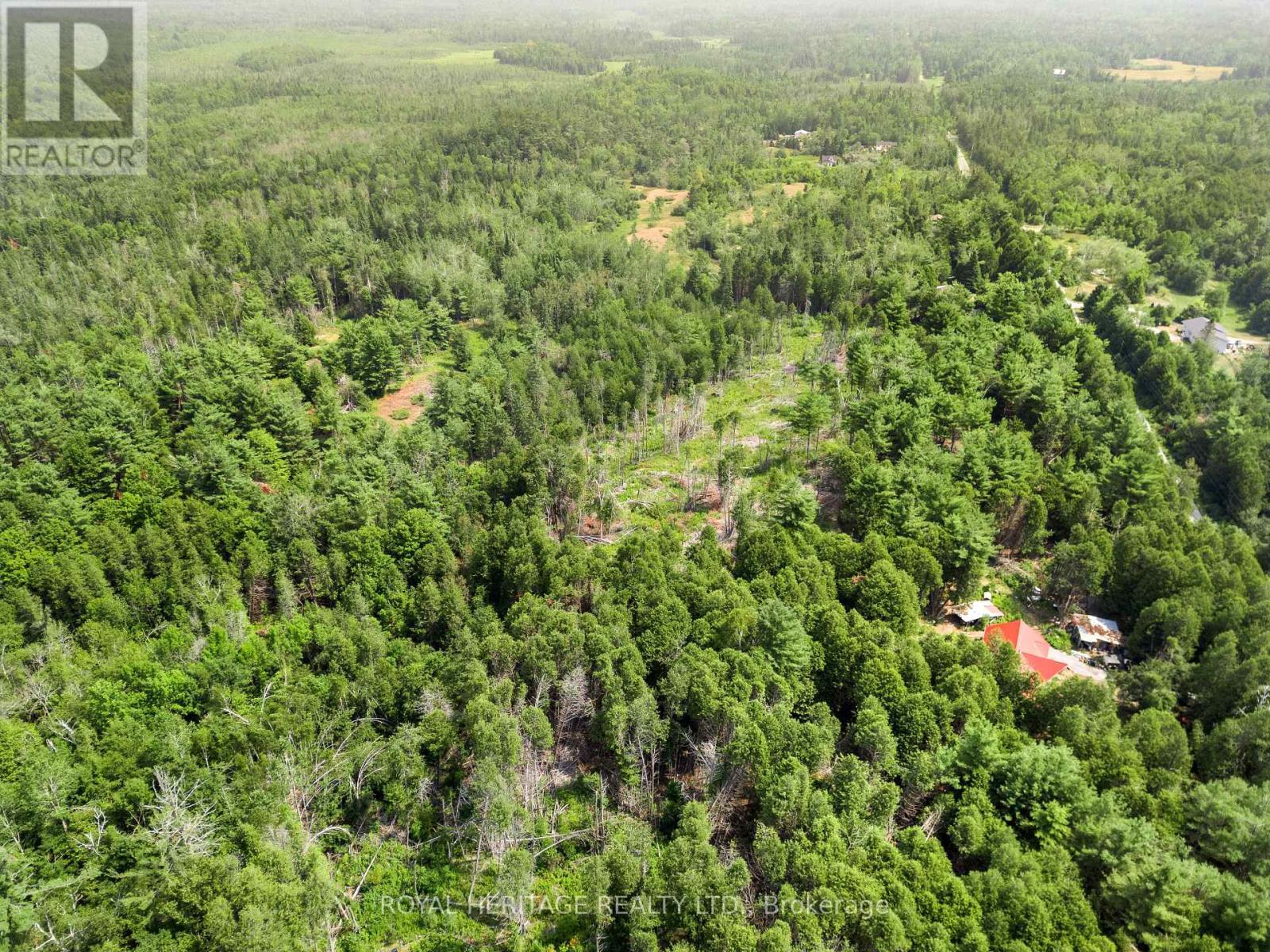 201 Dutch Line Road, Trent Lakes, ON - Outdoor With View