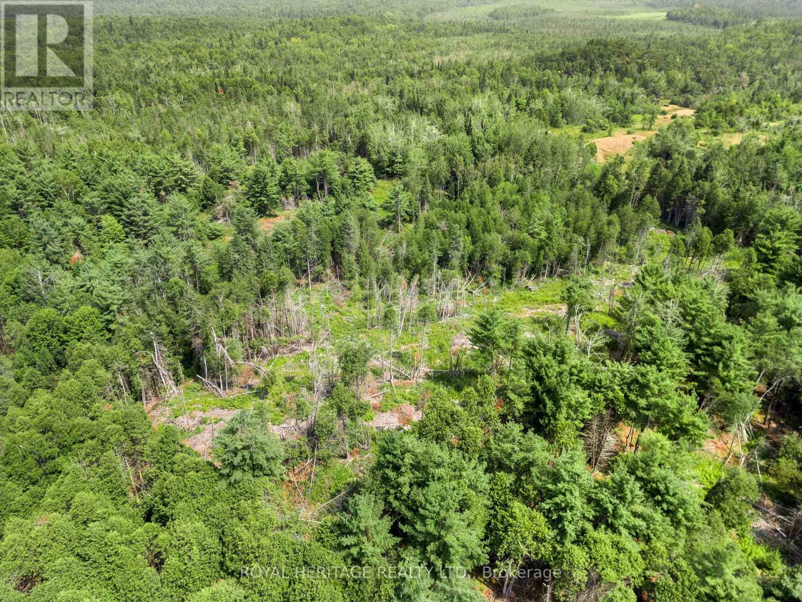 201 Dutch Line Road, Trent Lakes, ON - Outdoor