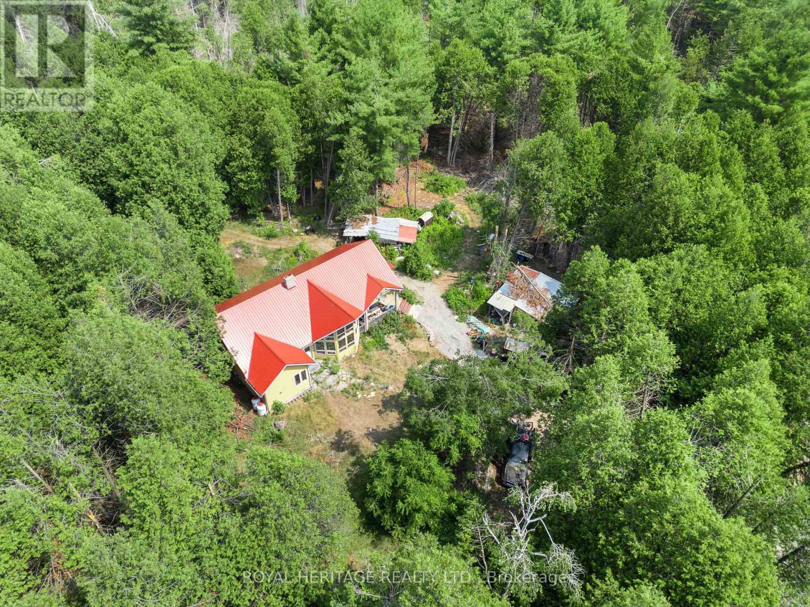 201 Dutch Line Road, Trent Lakes, ON - Outdoor