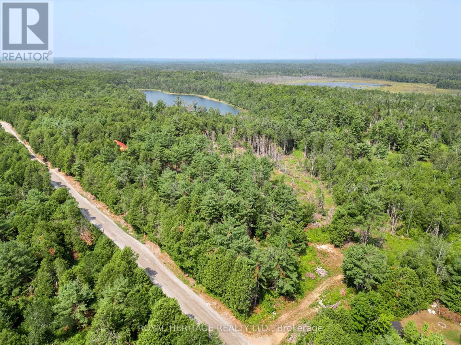201 Dutch Line Road, Trent Lakes, ON - Outdoor With View