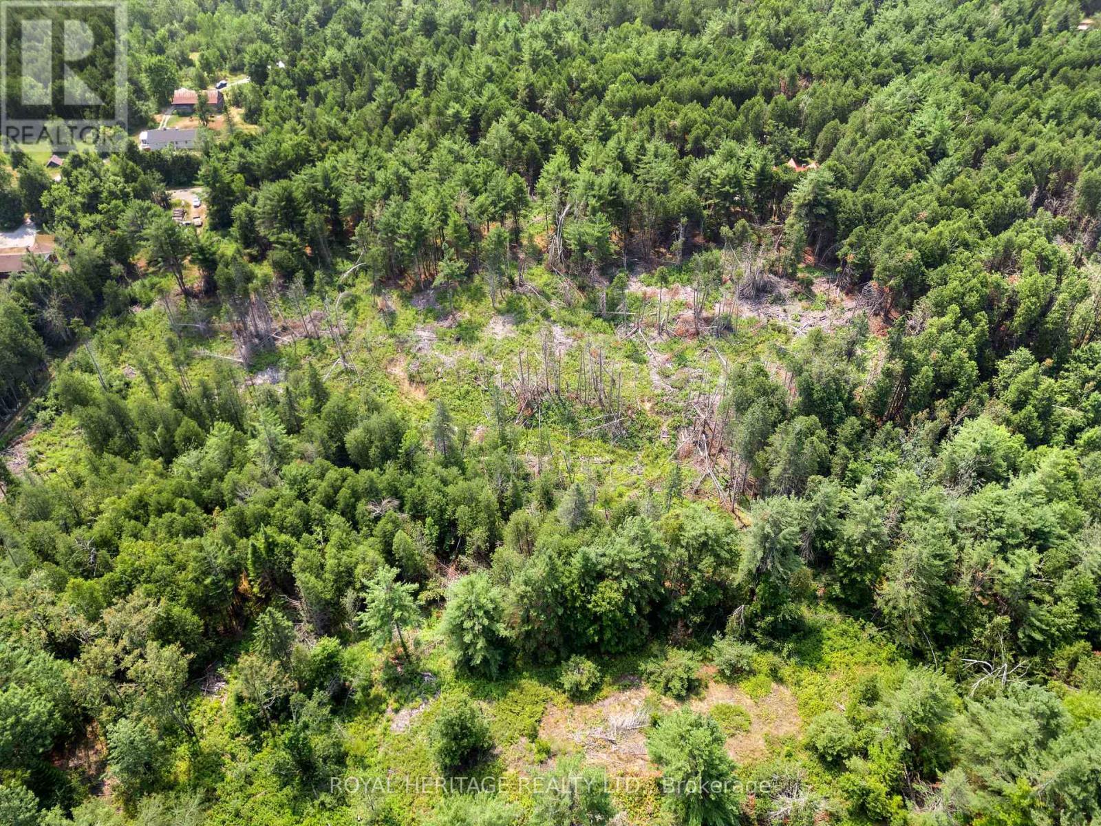 201 Dutch Line Road, Trent Lakes, ON - Outdoor