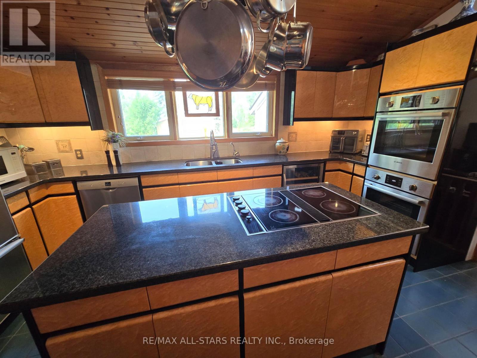 321 Rabys Shore Drive, Kawartha Lakes (Fenelon Falls), ON - Indoor Photo Showing Kitchen With Stainless Steel Kitchen With Double Sink