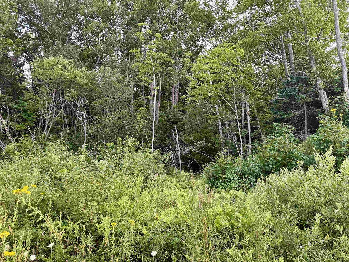 Lot Highway 4, Aulds Cove, NS