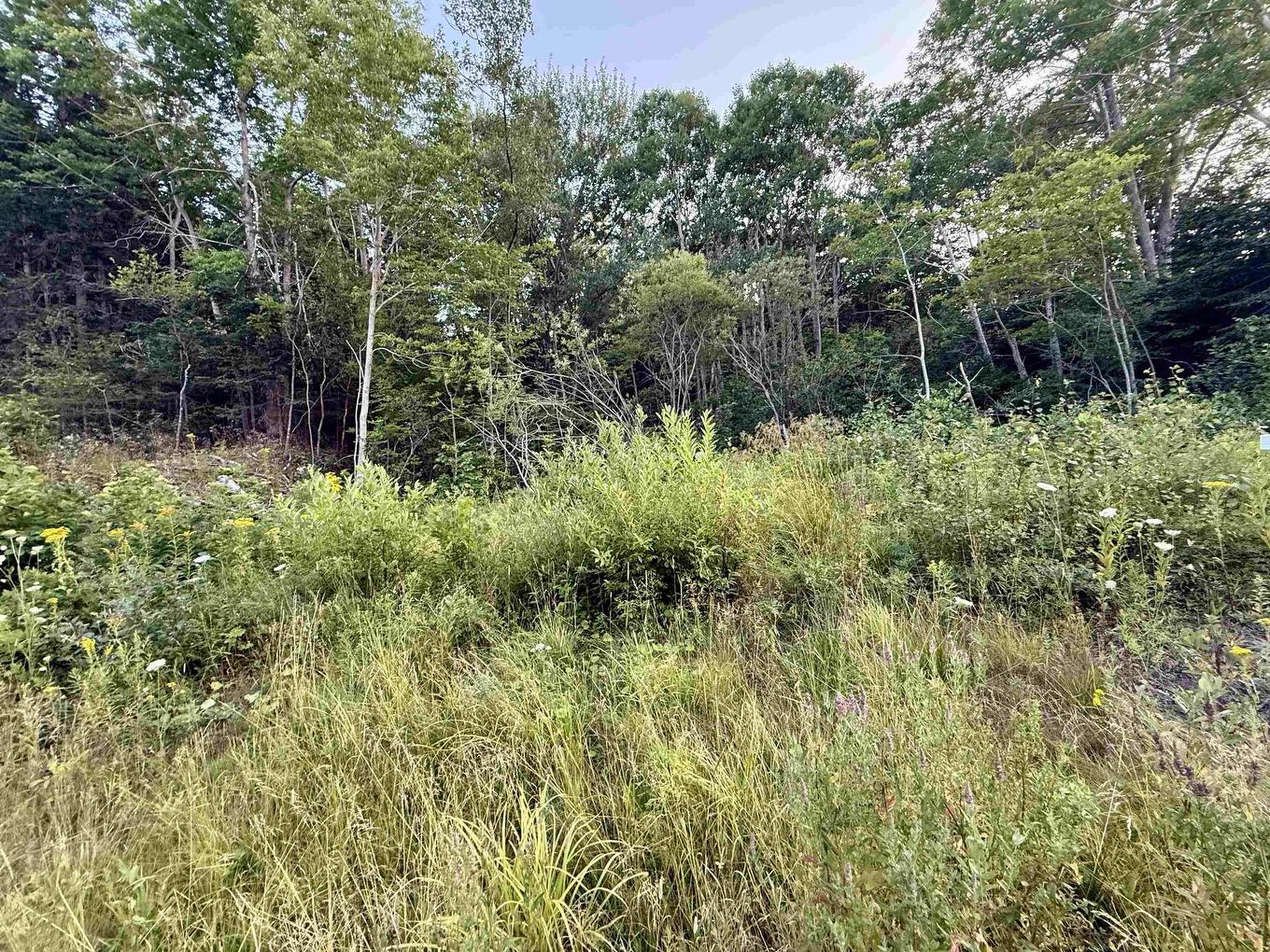 Lot Highway 4, Aulds Cove, NS