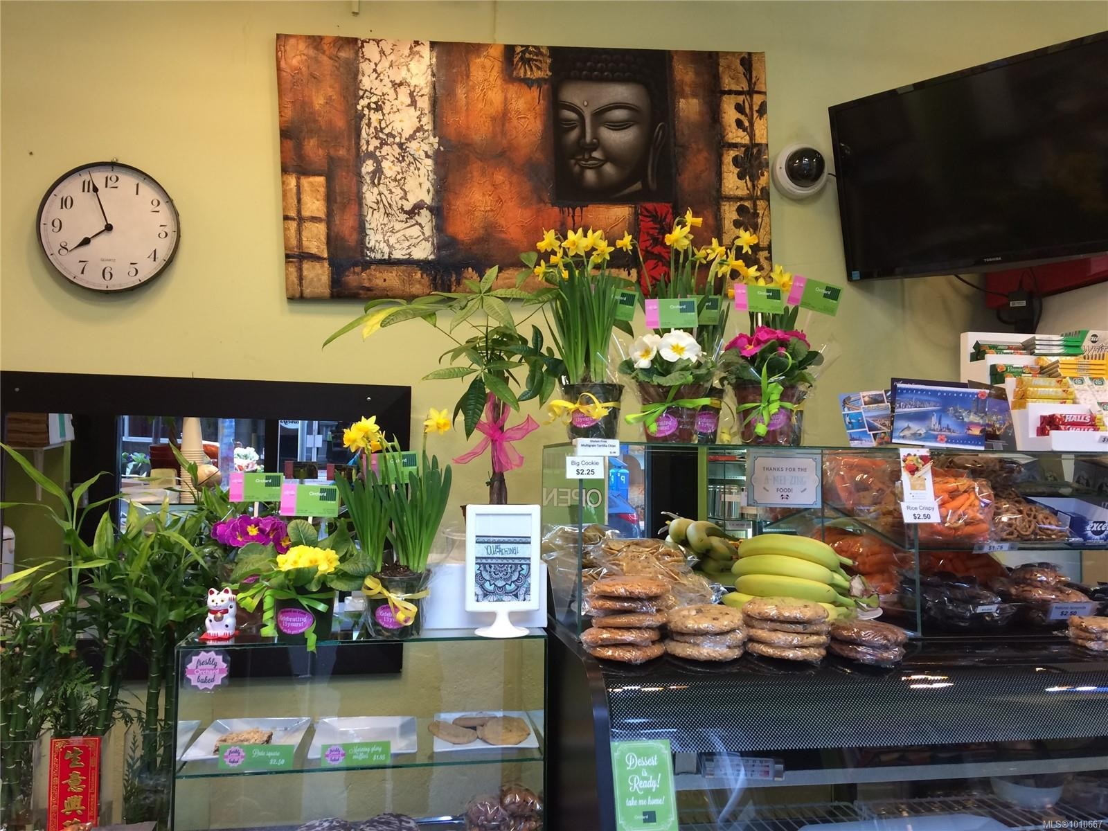 655 View St, Victoria, BC