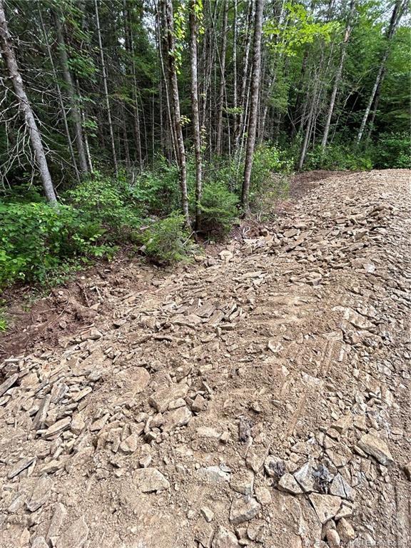 516 Salem Rd, Canaan, NB