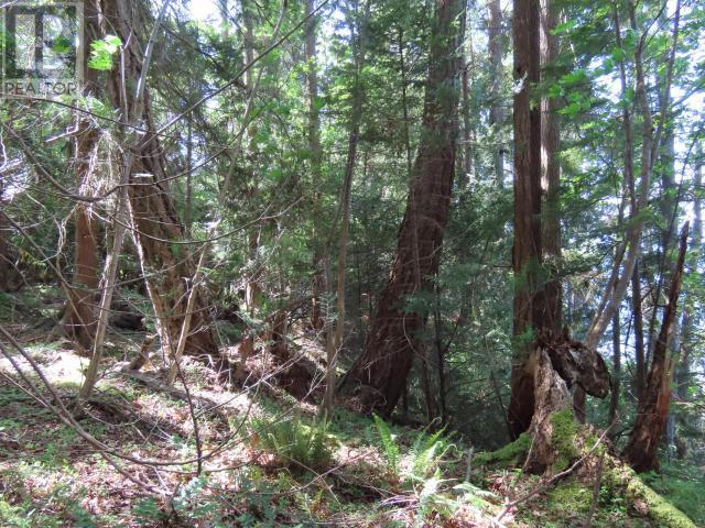 Lot M Gillies Bay Rd Road, Texada Island, BC
