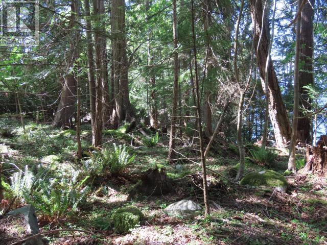 Lot M Gillies Bay Rd Road, Texada Island, BC