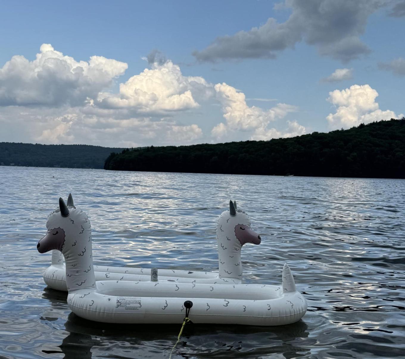 Accès au plan d'eau - 5832 Route De Fossambault, Fossambault-Sur-Le-Lac, QC