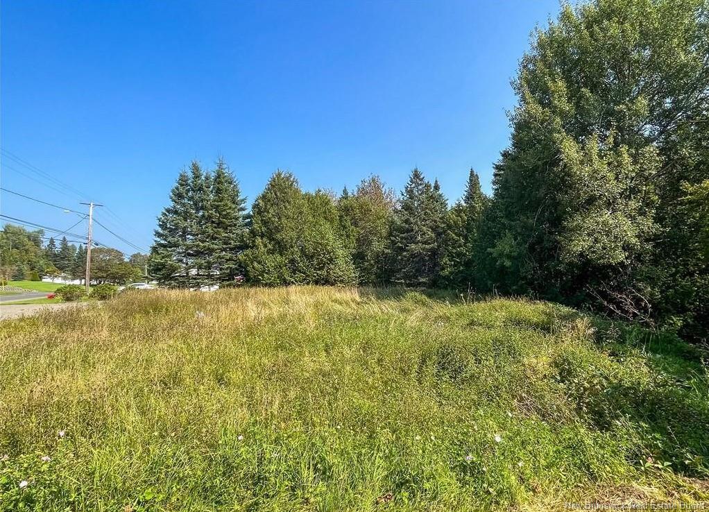 1768 Des Pionniers Ave, Balmoral, NB