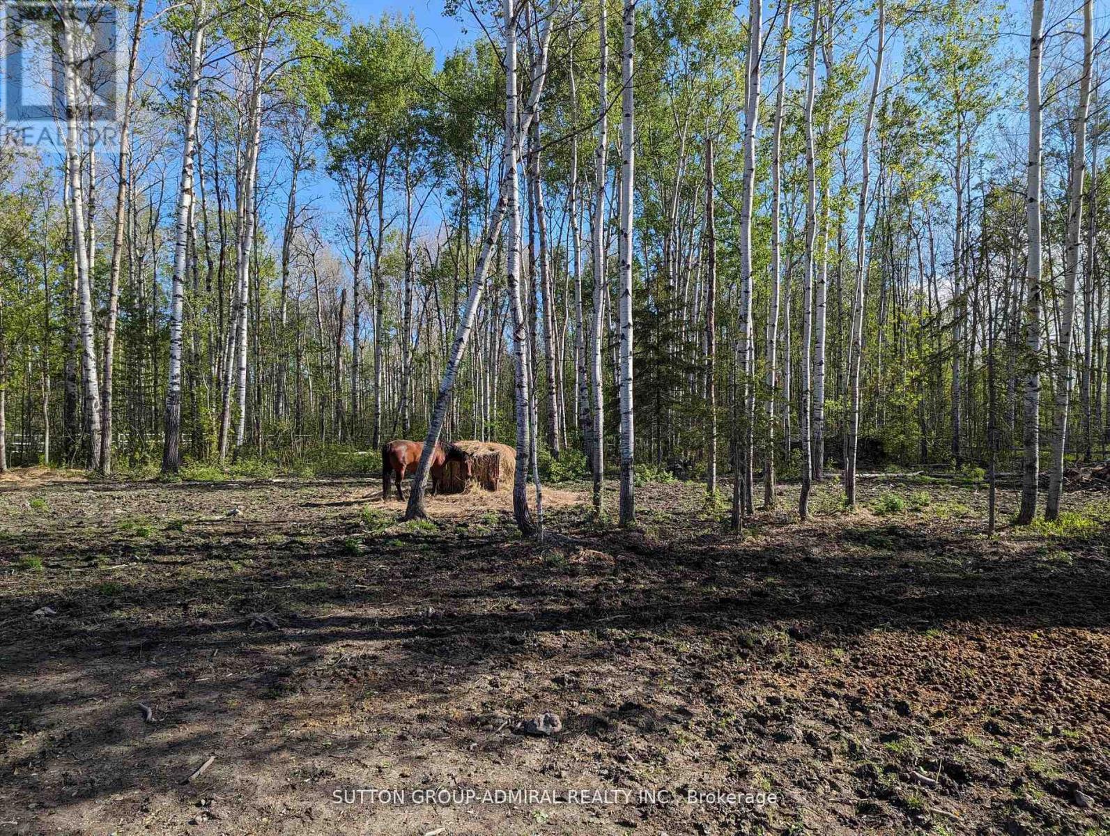 227005 Brentha Road, Englehart, ON