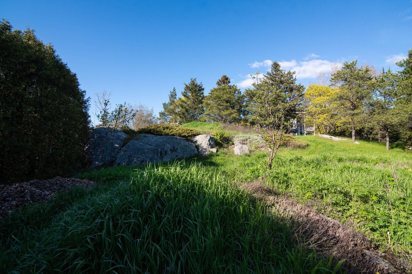 Backyard - 309 Rue Taché, Saint-Pascal, QC - Outdoor