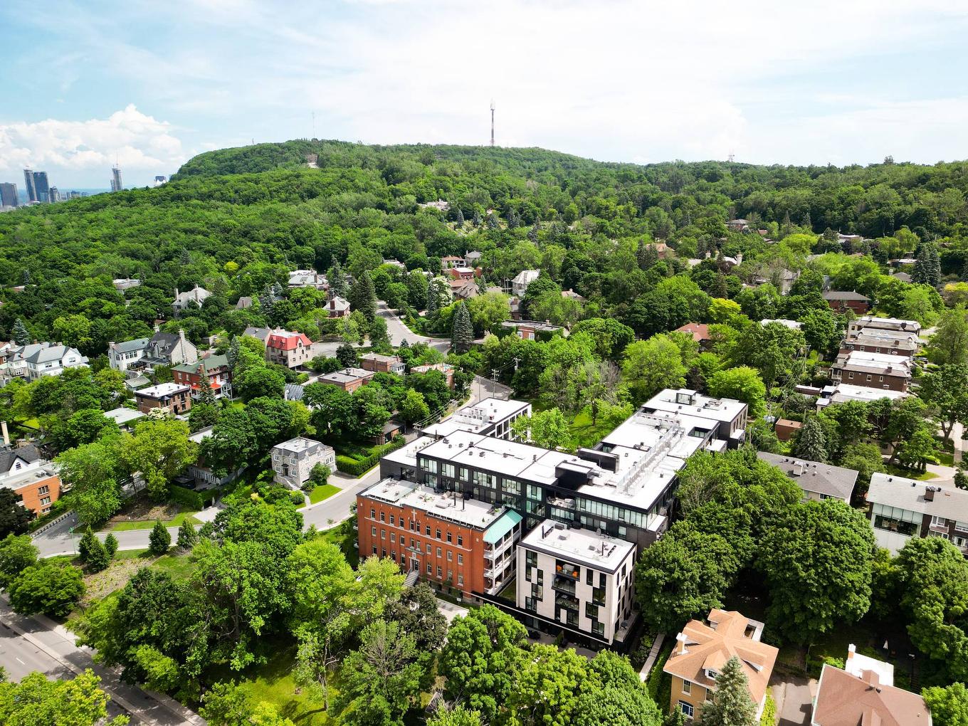 Vue d'ensemble - 104-11 Côte Du Vésinet, Montréal (Outremont), QC - Outdoor With View