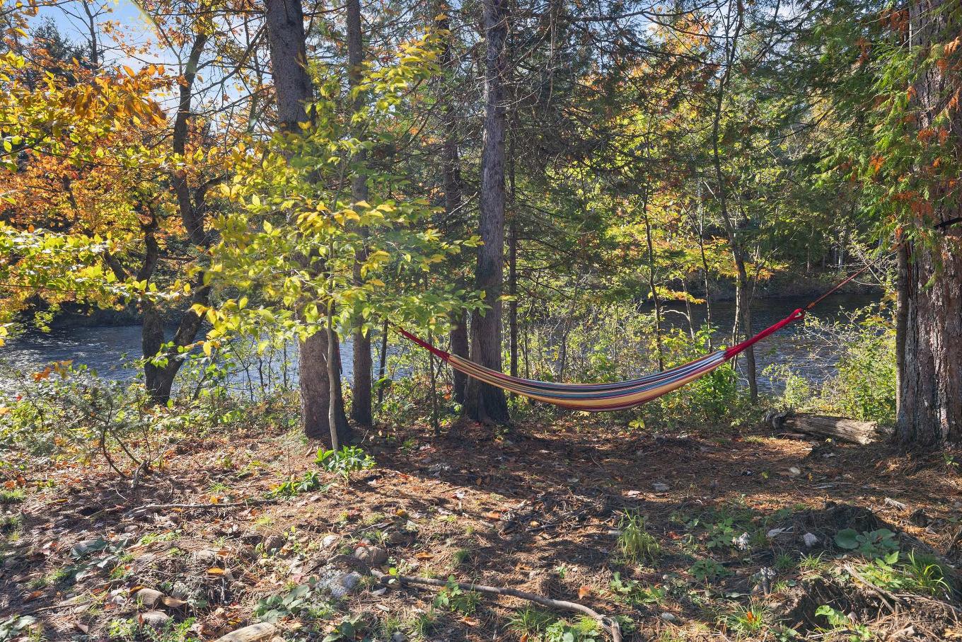 Backyard - 50 Rue Des Cougars, Saint-Côme, QC - Outdoor With View