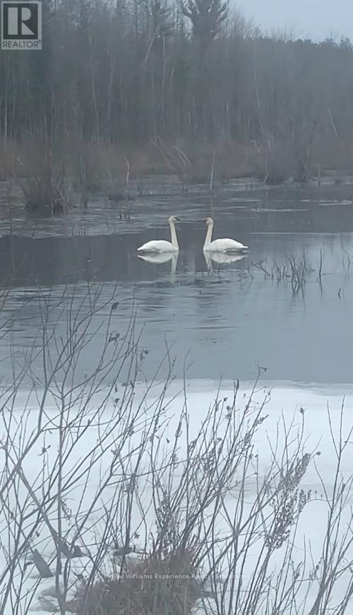 Pl 20 Concession 18 W, Tiny, ON