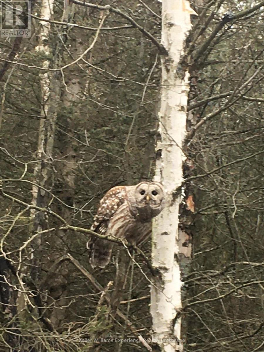 Pl 20 Concession 18 W, Tiny, ON