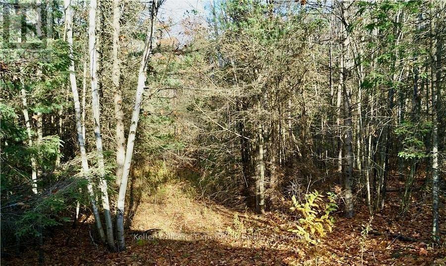 Pl 20 Concession 18 W, Tiny, ON