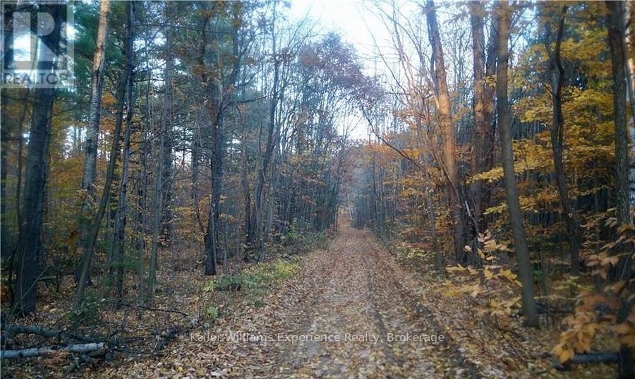 Pl 20 Concession 18 W, Tiny, ON