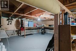 Crawl Space -