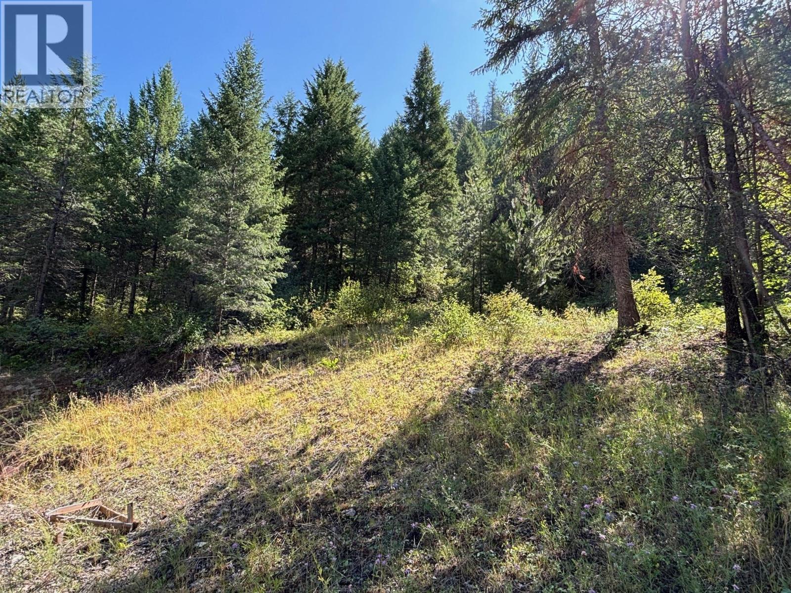 3520 33 Highway, Westbridge, BC