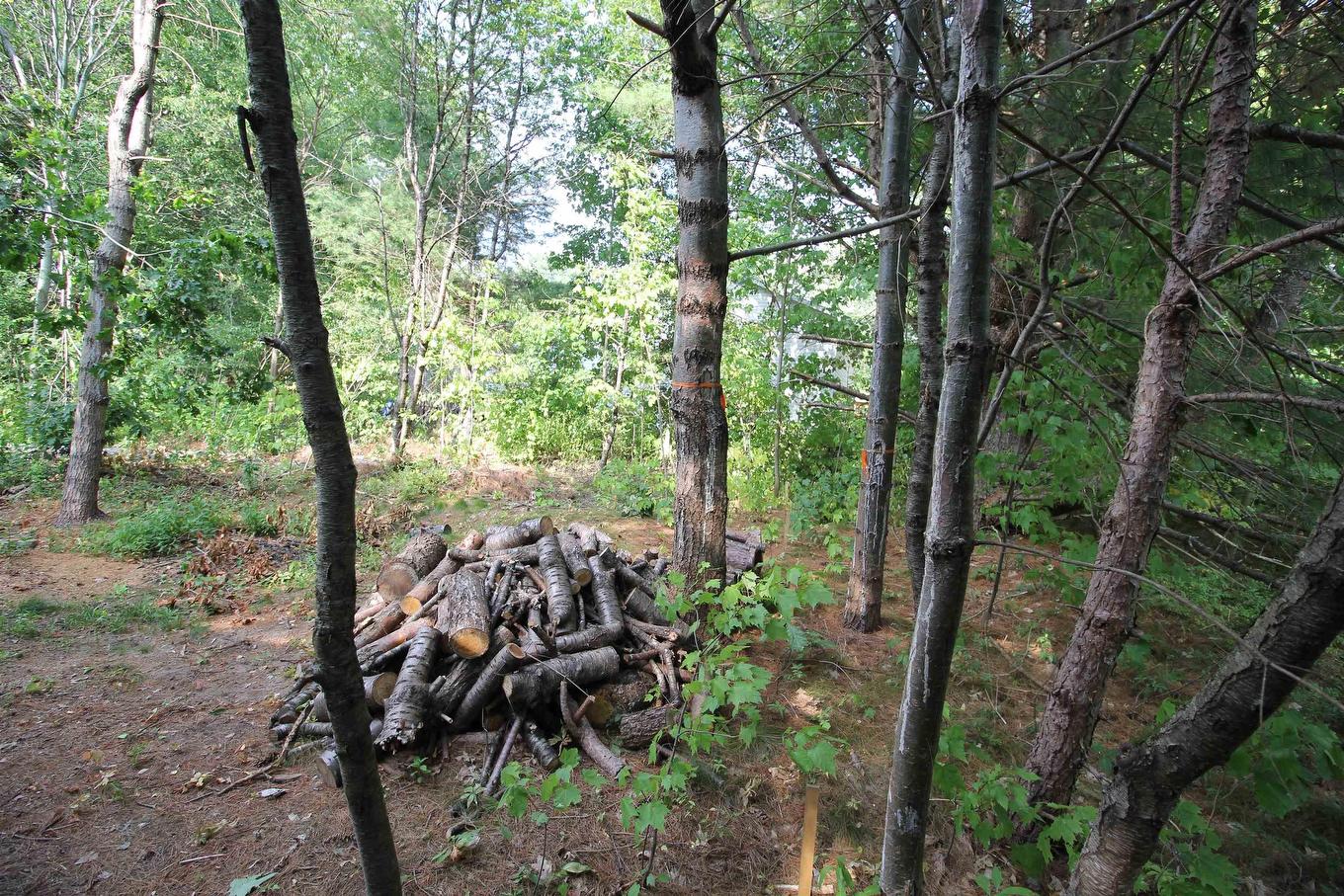 Highway 1,, Wilmot, NS