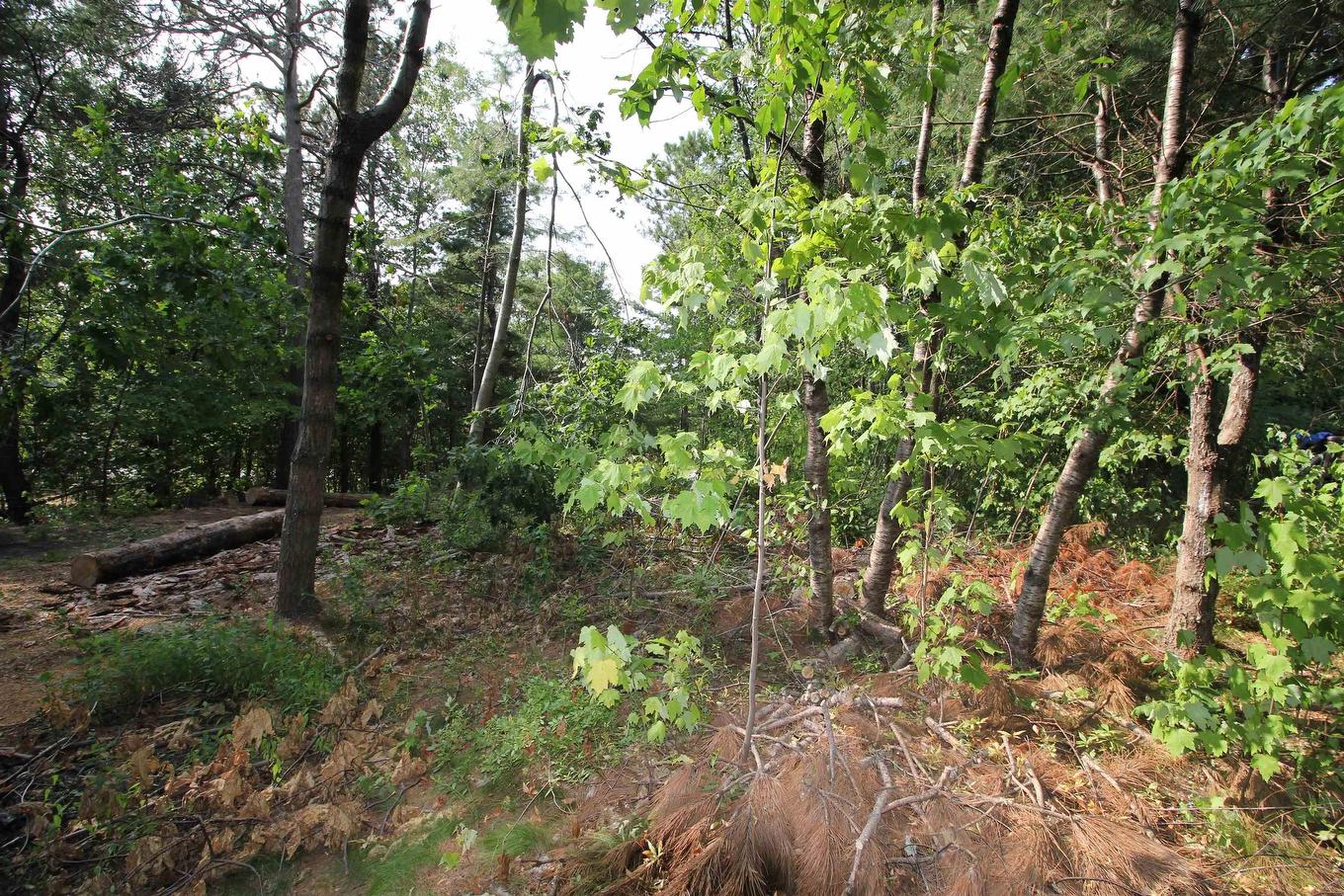 Highway 1,, Wilmot, NS