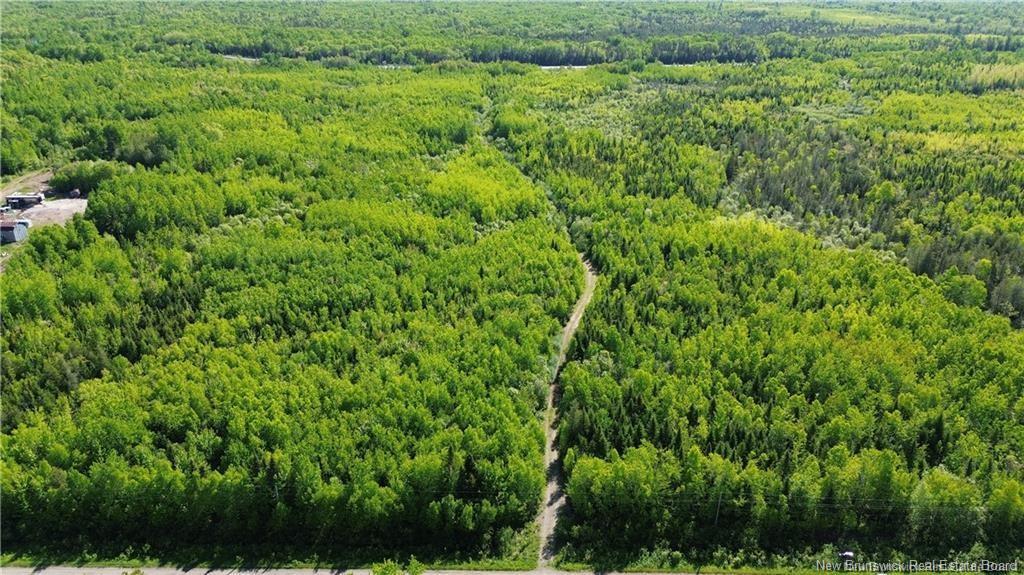 55.77 Acres Route 11, Madran, NB