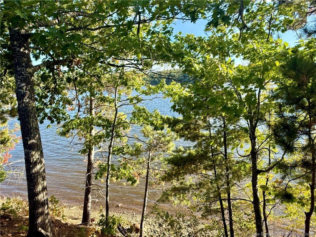 1173 Route 425, Whitney, NB