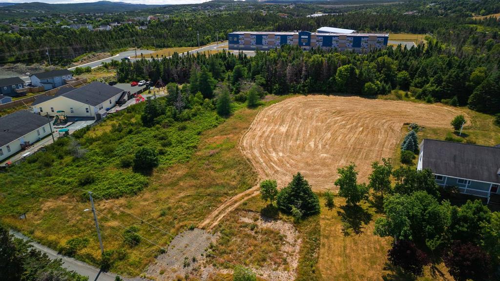 7 Watts Pond Road, Torbay, NL