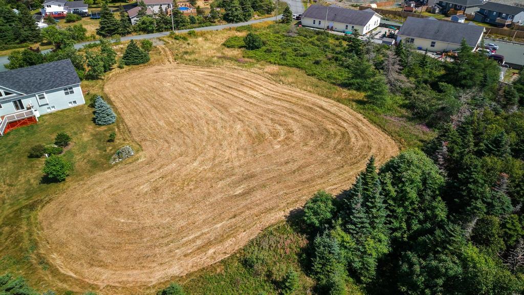 7 Watts Pond Road, Torbay, NL