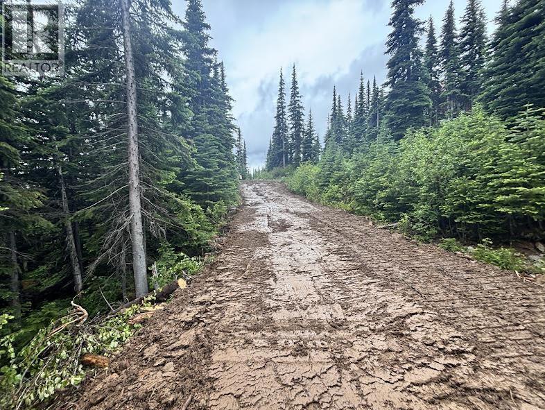 192 Alpine Way, Smithers, BC