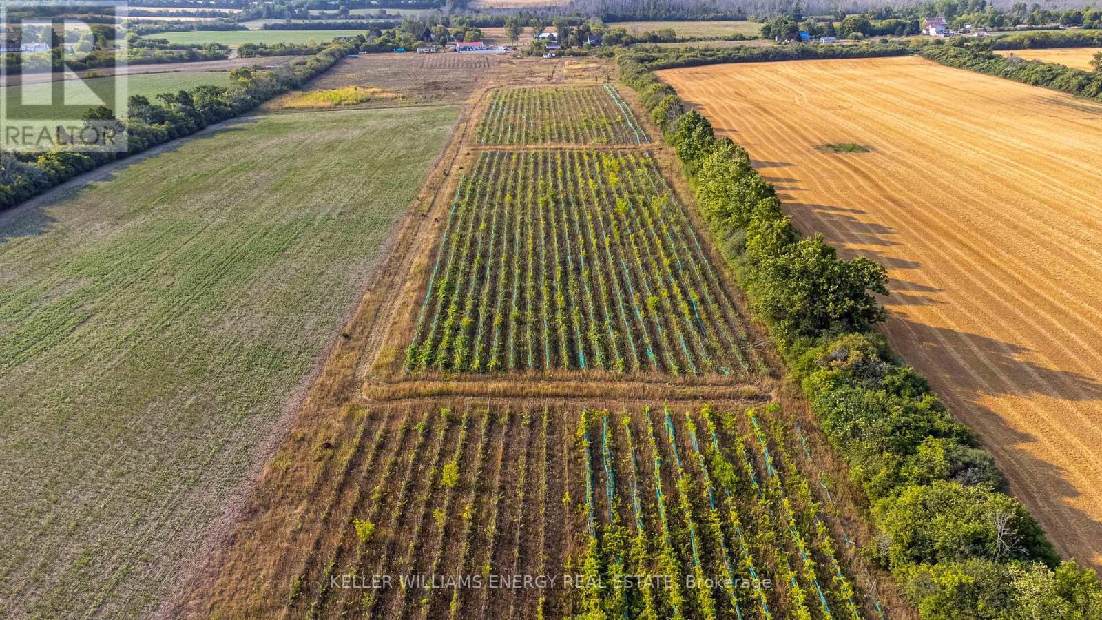 804 Closson Road, Prince Edward County (Hillier), ON