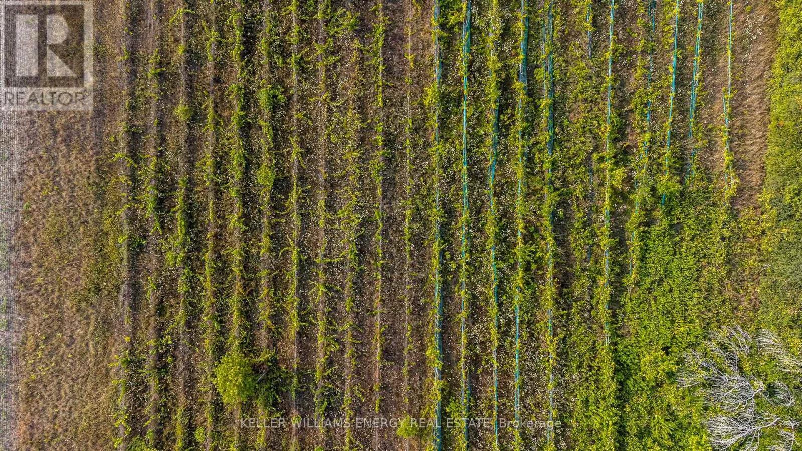 804 Closson Road, Prince Edward County (Hillier), ON