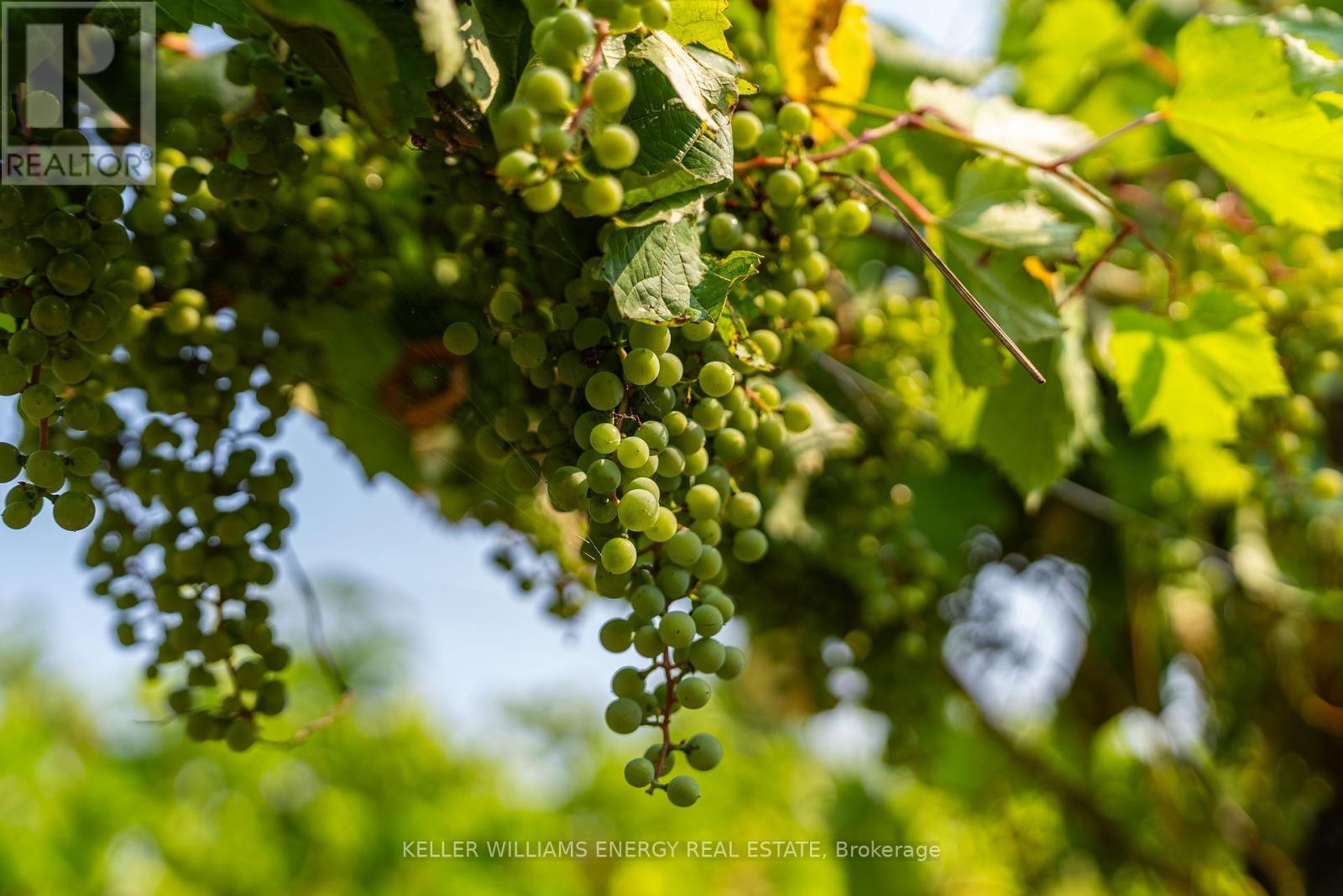 804 Closson Road, Prince Edward County (Hillier), ON