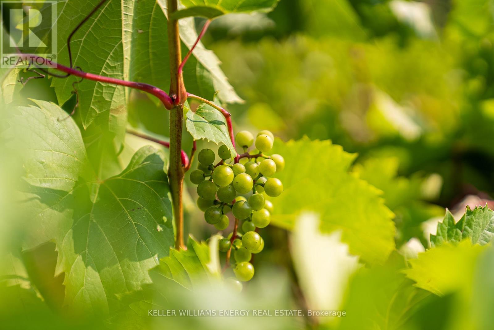 804 Closson Road, Prince Edward County (Hillier), ON