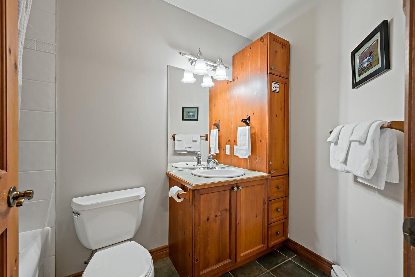 Bathroom - 7-225 Rue Du Mont-Plaisant, Mont-Tremblant, QC - Indoor Photo Showing Bathroom