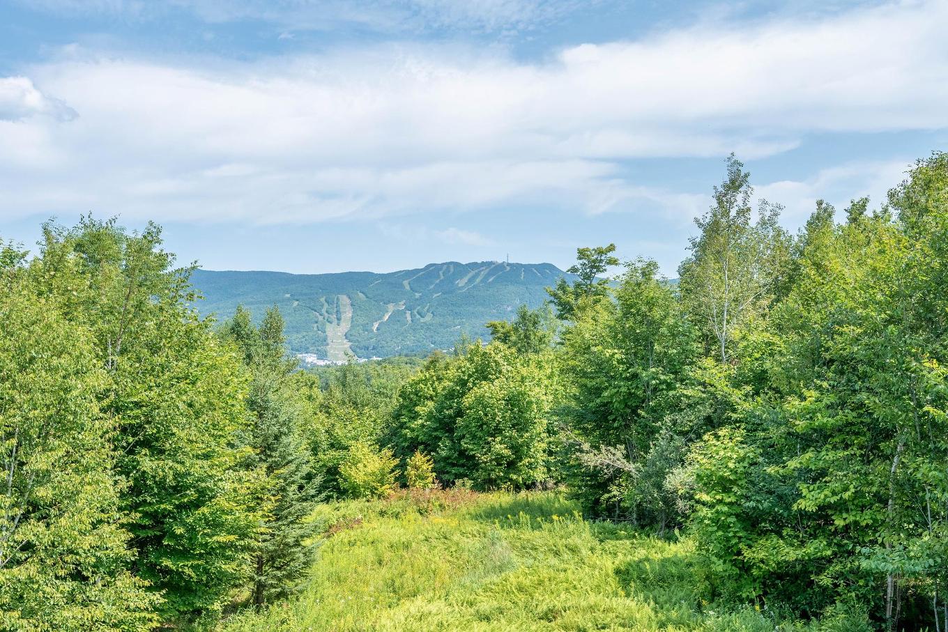 View - 7-225 Rue Du Mont-Plaisant, Mont-Tremblant, QC - Outdoor With View
