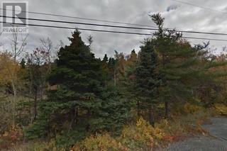 21-23 Minerals Road, Conception Bay South, NL