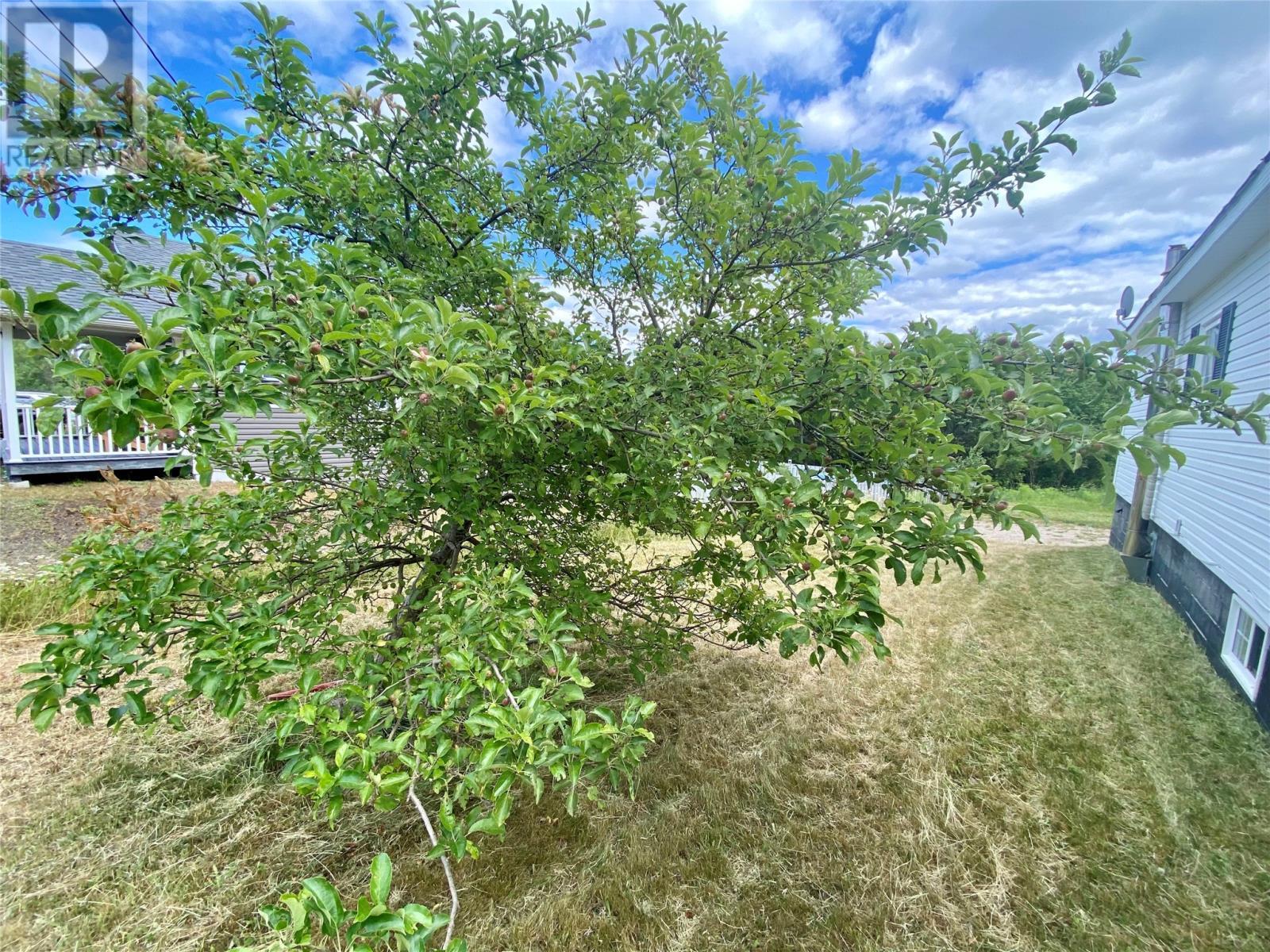 39 Station Road, Glovertown, NL - Outdoor