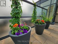 Shared Rooftop terrace -