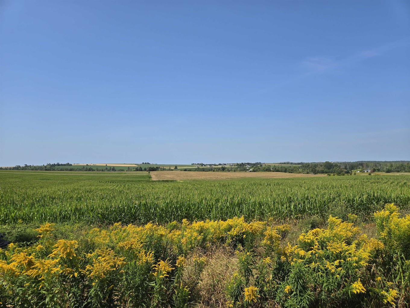 367 Millview Road, Millview, PE