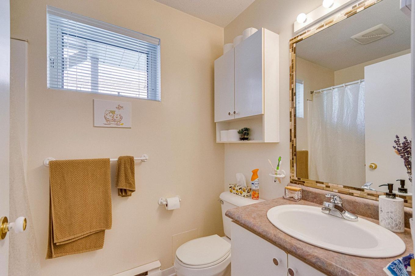 Logement - 19 Rue De L'Escalade, Gatineau (Hull), QC - Indoor Photo Showing Bathroom