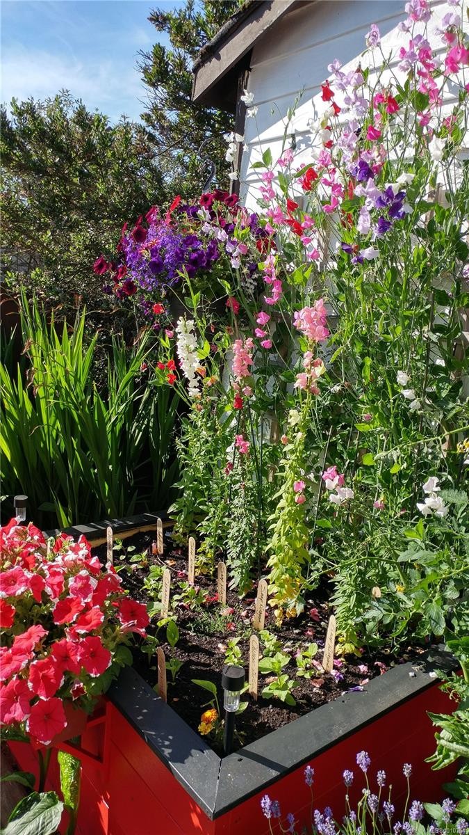 51-1555 Middle Rd, View Royal, BC