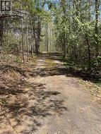 Driveway into the cottage -
